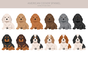 American cocker spaniel puppies all coat colors clipart. All dog breeds infographic
