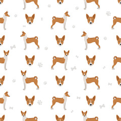 Basenji all colours seamless pattern. Different coat colors and poses set