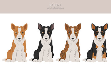 Basenji puppy all colours clipart. Different coat colors and poses set
