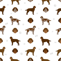Bohemian wirehaired Pointing Griffon seamless pattern. Different coat colors and poses set