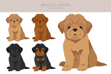 Brussels griffon puppies clipart. Different coat colors and poses set