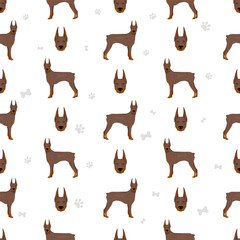 Doberman pinscher dogs seamless pattern. Different poses, coat colors set