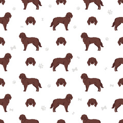 German longhaired pointer seamless pattern. Different poses, coat colors set