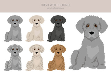 Irish wolfhound puppies clipart. Different poses, coat colors set