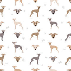 Italian greyhound seamless pattern. Different poses, coat colors set