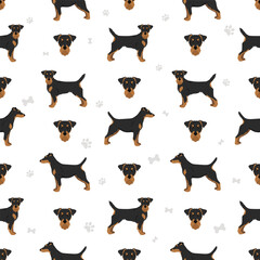 Jagdterrier seamless pattern. Different poses, coat colors set