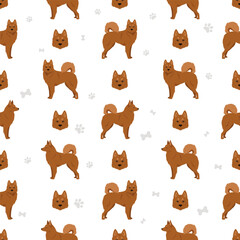 Karelo-Finnish laika  seamless pattern. Different coat colors set