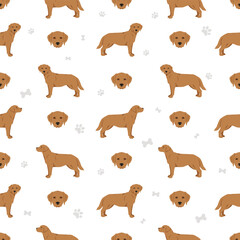 Labrador retriever dogs in different poses and coat colors seamless pattern