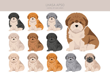 Lhasa Apso puppies clipart. Different poses, coat colors set
