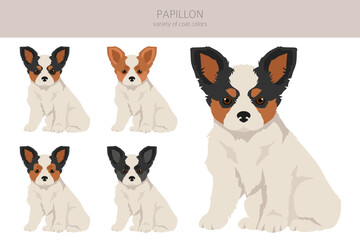 Papillon puppies clipart. Different poses, coat colors set