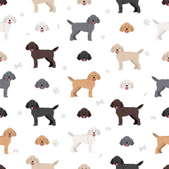 Medium poodle (Moyen) seamless pattern. Different poses, coat colors set
