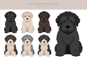 Portuguese water dog puppies clipart. Different poses, coat colors set