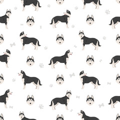 Siberian Husky seamless pattern. All coat colors set.  All dog breeds characteristics infographic