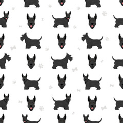 Scottish terrier dogs in different poses and coat colors. Adult and puppy scottie seamless pattern