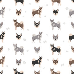 Swedish Elkhound seamless pattern. All coat colors set.  All dog breeds characteristics infographic