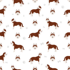 Siberian Husky seamless pattern. All coat colors set.  All dog breeds characteristics infographic