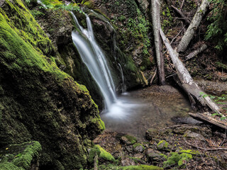 Fototapeta premium waterfall at the spring misty forest