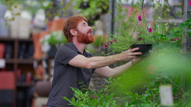 Joyful customer picking plant at horticulture retail plant store. A candid male caucasian redheaded person choosing flower local shop