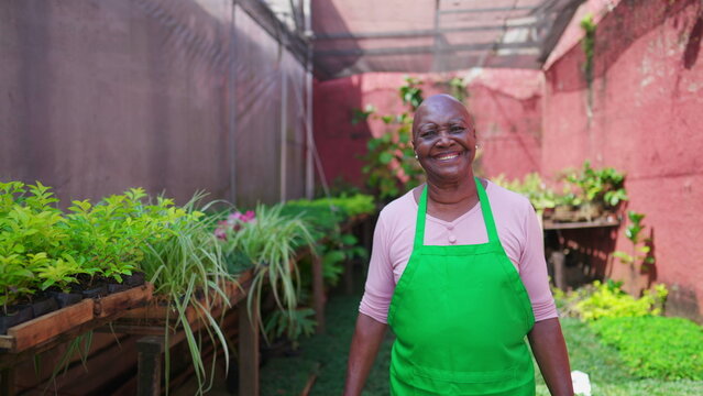 One Black Senior Woman Putting Plant Basket Back To Shelf In Backyard Garden. An African American Older Lady Wearing Green Apron Working In Horticulture Store. Local Business Concept