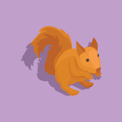 flat vector squirrel