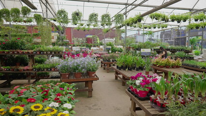 Interior of horticulture store supply flower shop local business