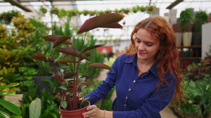 Joyful Woman Picking Plant from Shelf, Strolling Through Horticulture Gardening Supply Store Aisle