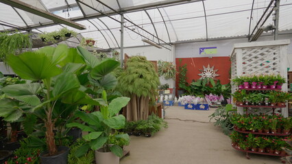 Horticulture Flower Shop Interior, Display of Plants and Flowers in Local Gardening Business Store
