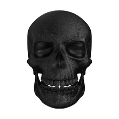 Human skull isolated. Without background. PNG. Skeleton. 9