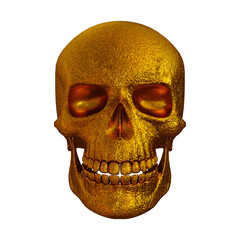 Human skull isolated. Without background. PNG. Skeleton. 7