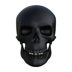 Human skull isolated. Without background. PNG. Skeleton. 8