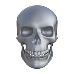Human skull isolated. Without background. PNG. Skeleton. 5