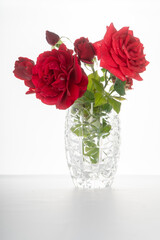 red roses in a crystal vase on a white background. Greeting card with flowers