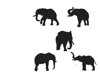 Vector  of animal elephant silhouettes in different positions
Related tags