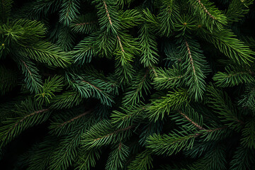 Fototapeta na wymiar fresh green branches of a Christmas tree. festive christmas background. ai generative