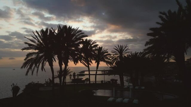 beautiful sunset on ocean shore with palm silhouette, clouds and beach, Tenerife