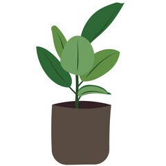 Rubber Plant flat icon