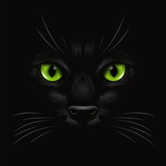 Vector 3d Realistic Green Cats Eye of a Black Cat in the Dark, at Night. Cat Face with Yes, Nose, Whiskers on Black. Cat Closeup Look in the Darkness. Front View