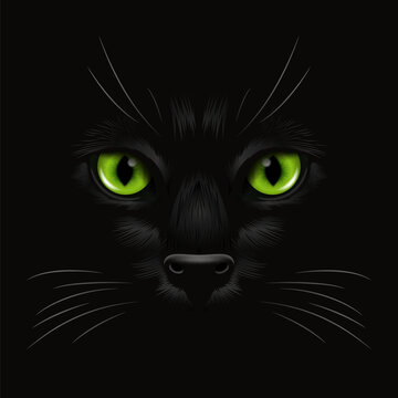 Vector 3d Realistic Green Cats Eye of a Black Cat in the Dark, at Night. Cat Face with Yes, Nose, Whiskers on Black. Cat Closeup Look in the Darkness. Front View