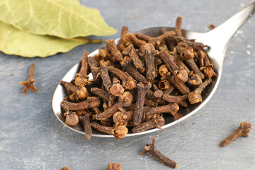 Dried clove on gray background, seasoning
