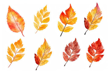 Set Of Yellow And Red Leaves On White Background . Watercolour. Generative AI