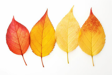 Fototapeta premium Set Of Yellow And Red Leaves On White Background. Generative AI