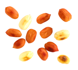 Roasted peanuts, transparent background