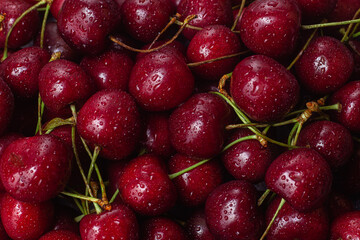 cherry close-up. cherry macro