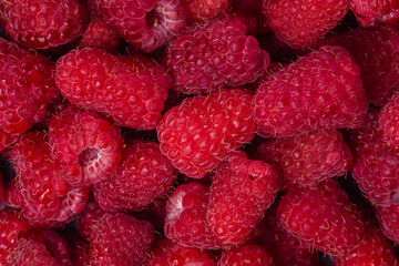 ripe raspberries close-up. raspberry macro background