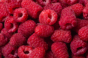 ripe raspberries close-up. raspberry macro background