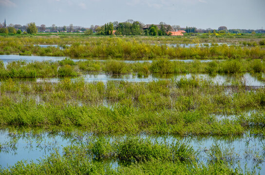 Landscape with shallow ponds and low bushes and in the distane an old farm on the nature island of Tiengemeten in the Netherlands