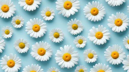 Daisy flower background. Floral pattern design. Generative Ai