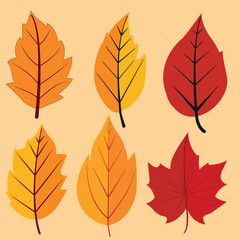 vector flat autumn forest and hand drawn autumn leaves collection.