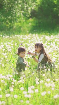A handsome big sister gives dandelion to his cute little brother. Funny and happy children, walking and playing together on the green meadow in the park at the sunny daytime. Concept friendly family