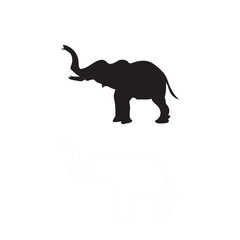 elephant isolated on white animal 
